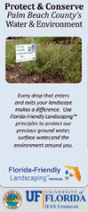 Florida Yards and Neighborhoods Brochure