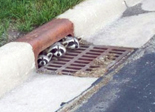 Only stormwater belongs in a storm drain!
